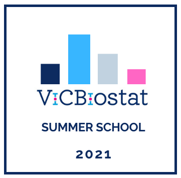 ViCBiostat summer school 2021