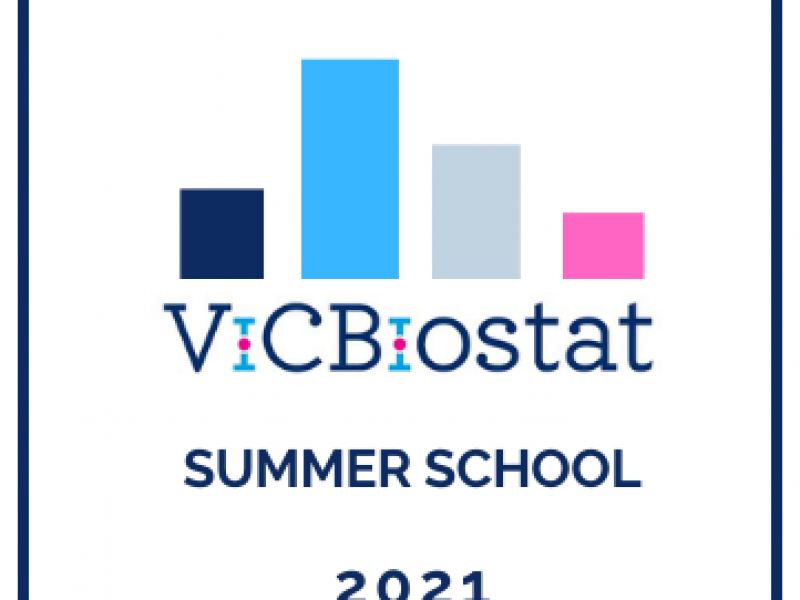 ViCBiostat summer school 2021