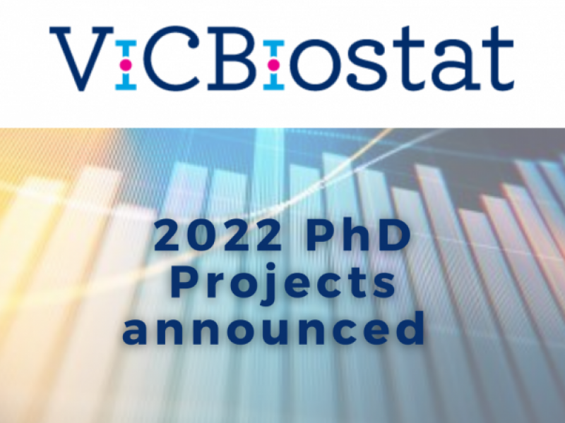 ViCBiostat 2022 PhD Projects